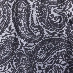 Brand New with tags Talbots blue paisley chinos